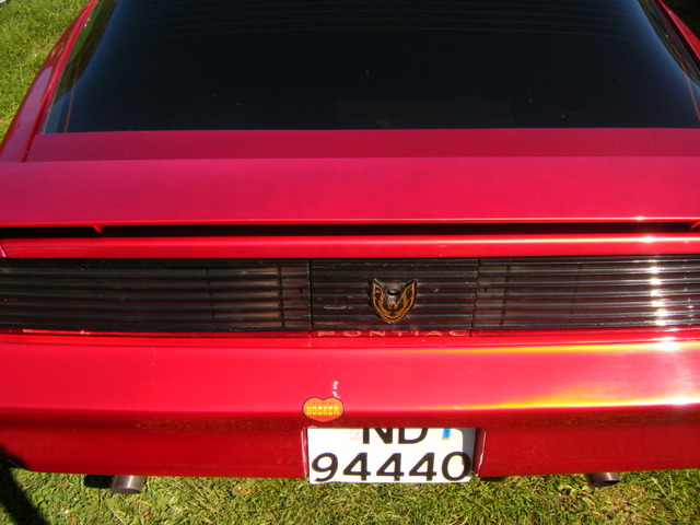 DSCF0445.jpg