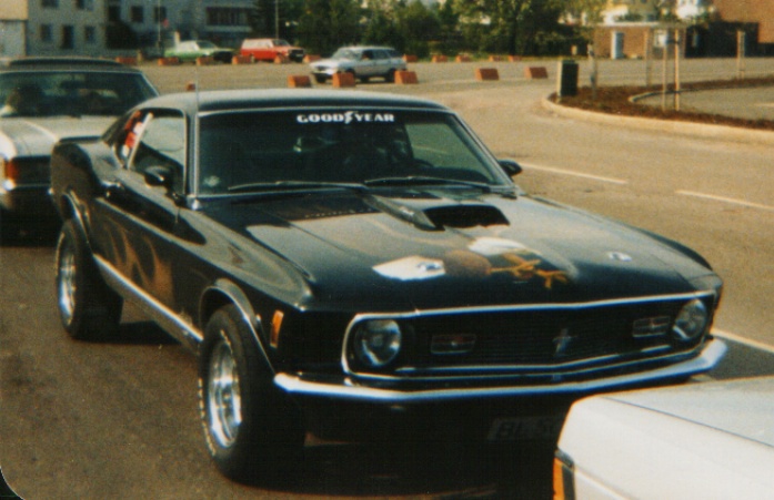 Mustang2a.JPG