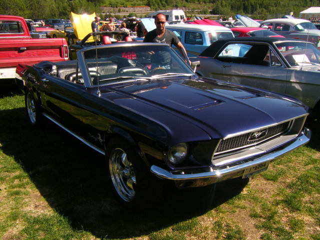 DSCF0395.jpg