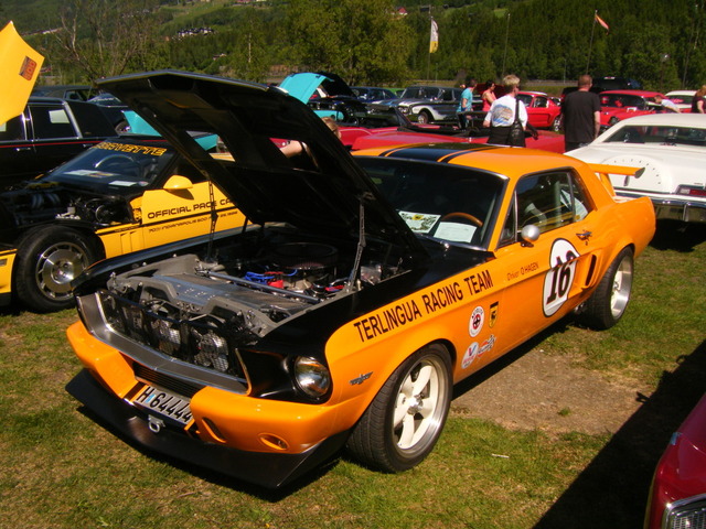 DSCF0354-1.jpg