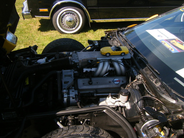 DSCF0350.jpg