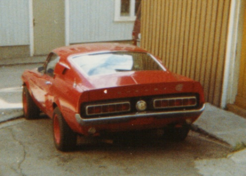 Mustang3c.JPG
