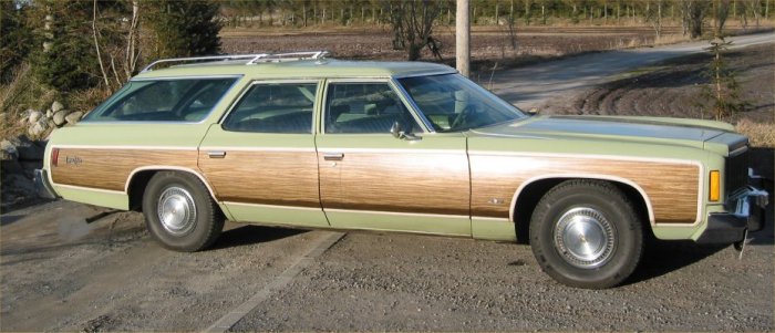 caprice.jpg