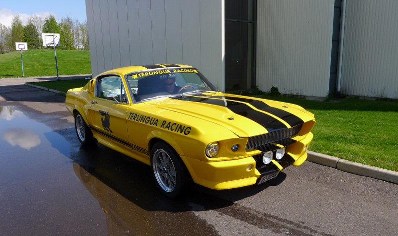 P1000133 (800x474).jpg