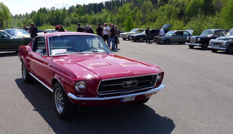 P1000136 (800x461).jpg
