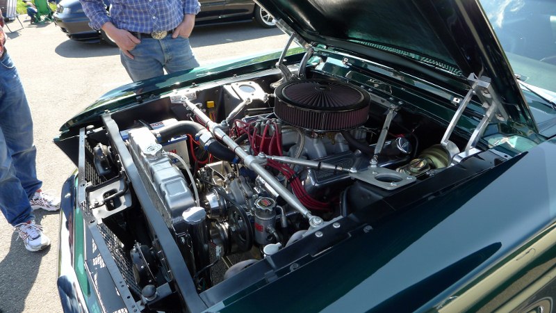P1000142 (800x450).jpg