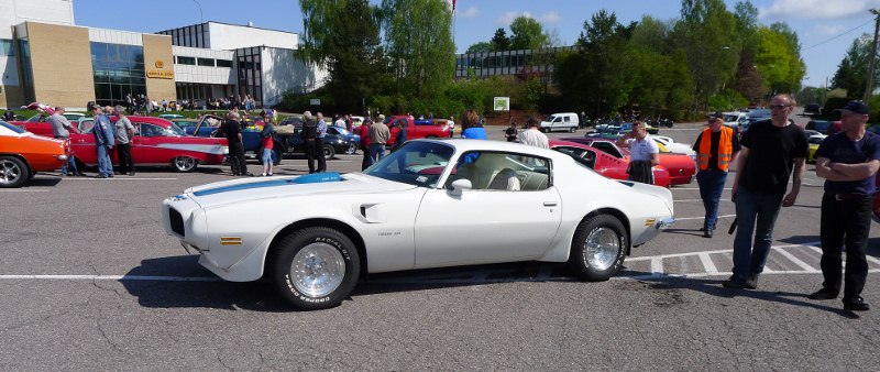 P1000144 (800x338).jpg