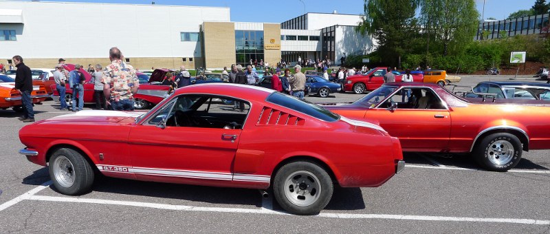P1000145 (800x340).jpg