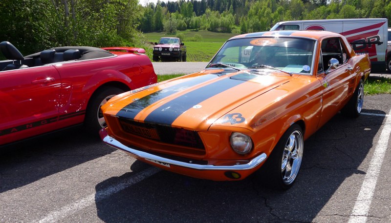 P1000147 (800x457).jpg