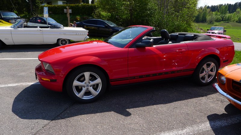 P1000148 (800x450).jpg