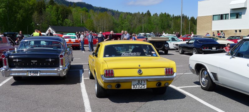 P1000150 (800x359).jpg
