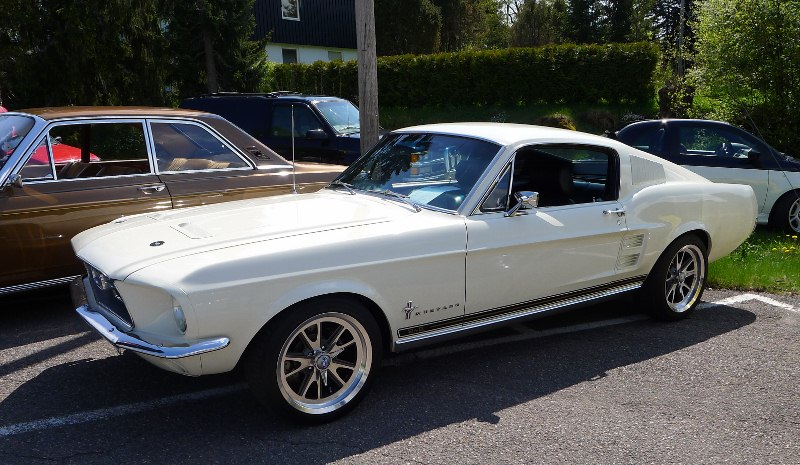 P1000151 (800x465).jpg