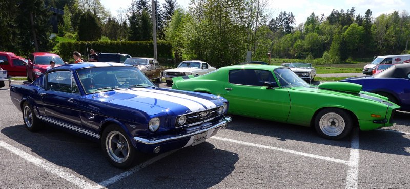 P1000154 (800x368).jpg