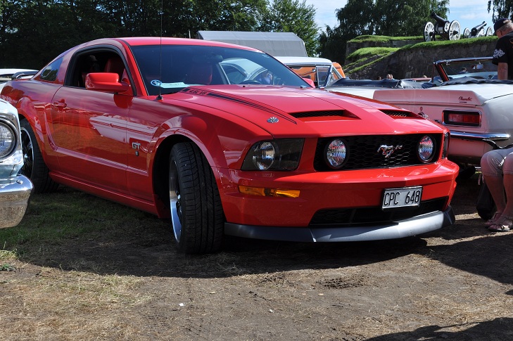 DSC_0219.JPG