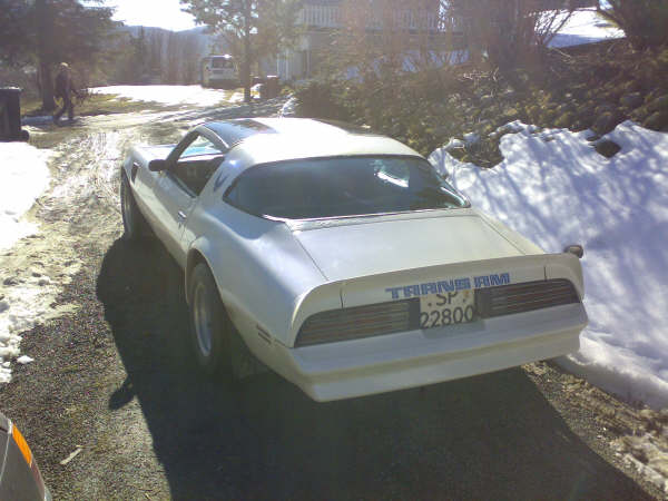 78 trans  am.jpg