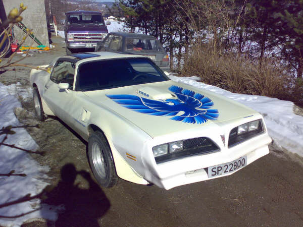 78 trans am.jpg