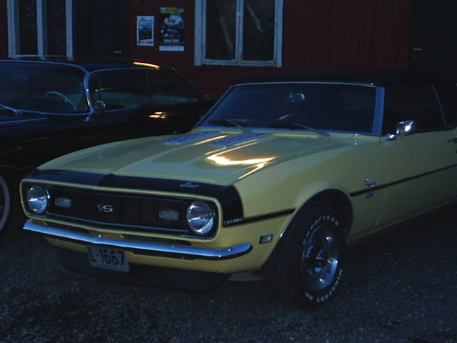 S3010031.JPG