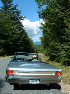 DSCF0022.jpg