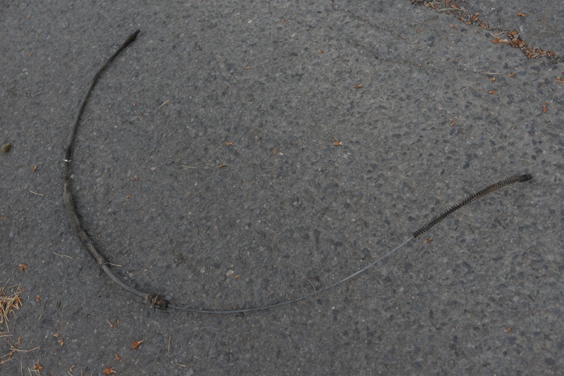 DSC_4944.JPG