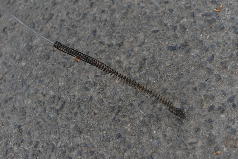 DSC_4945.JPG