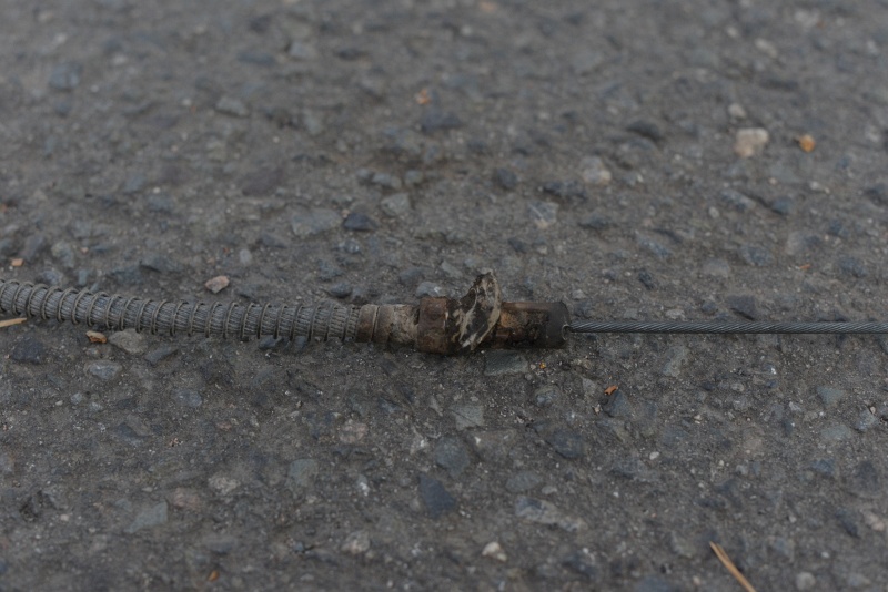 DSC_4946.JPG