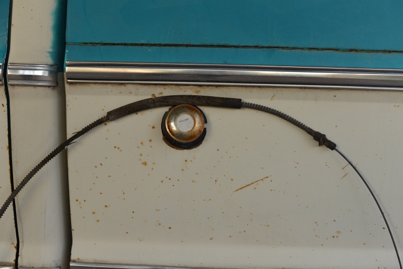 DSC_4948.JPG