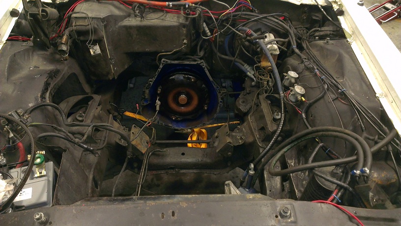 IMAG0154.jpg