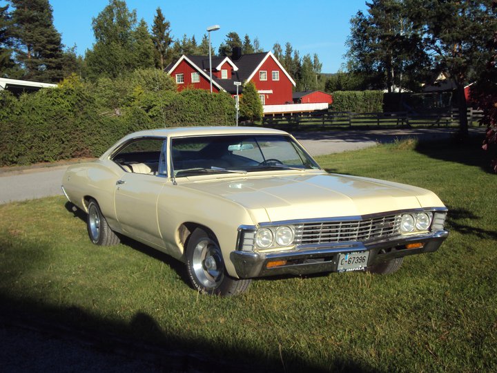impala'n.jpg