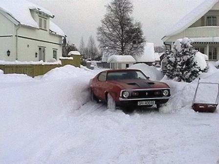 Mustangen i drift.jpg