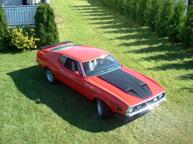 Mustangen (v. f. garasje-taket)web.JPG