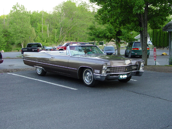 Picture-432.jpg