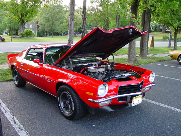 Picture-441.jpg