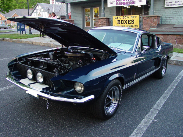 Picture-443.jpg