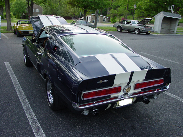 Picture-446.jpg