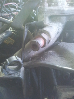 20131027_120227.jpg