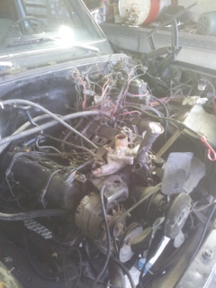 20131027_120235.jpg