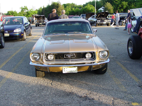 Picture-530.jpg