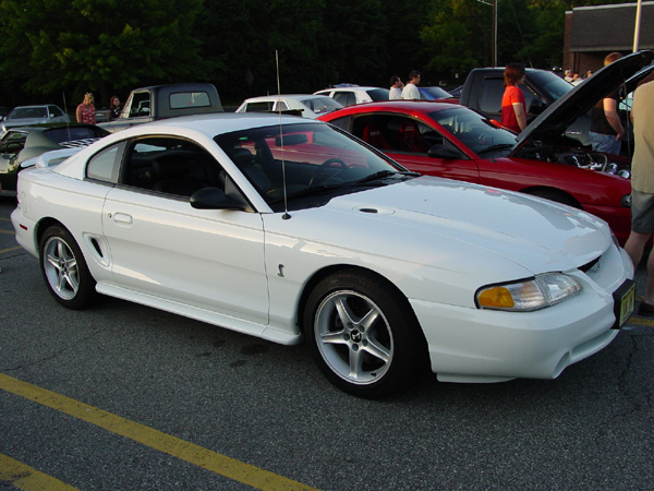 Picture-541.jpg