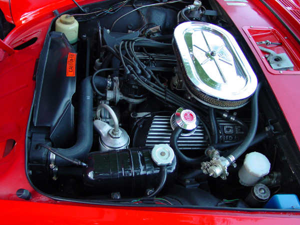 Picture-483.jpg