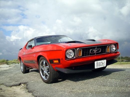5554207_520x0.jpg