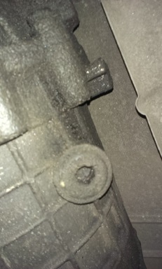 IMAG0071.jpg