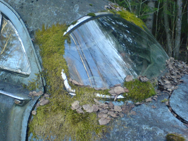 DSC00027.JPG