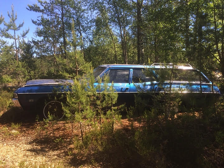 Redingaksjon 68 bel air.jpg