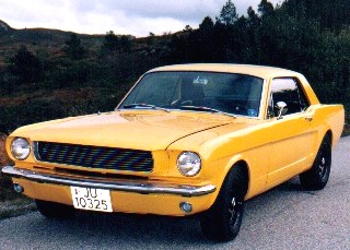 steinsfjellet1.jpg