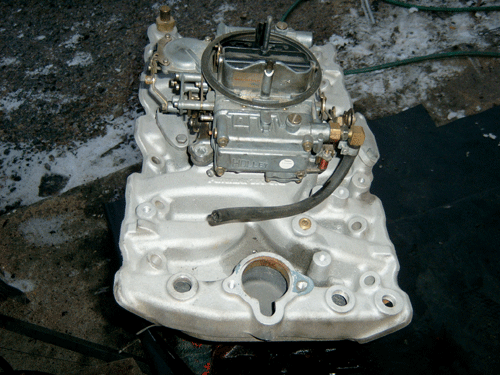 4.gif