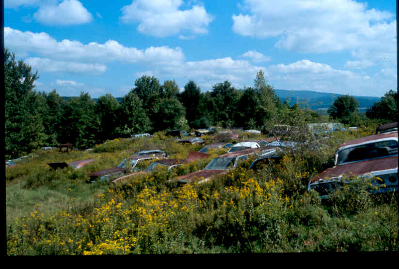 Curry Junkyard 000.jpg