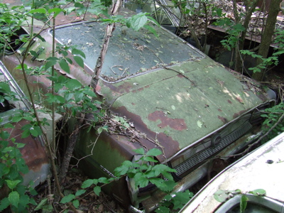 DSCF1136 FordTorinoGT.JPG