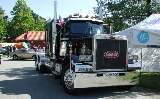 Peterbilt Large Web view.jpg