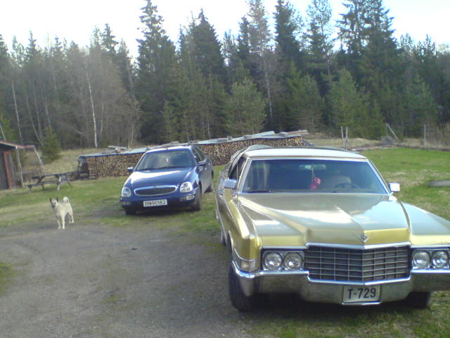 DSC00111.JPG