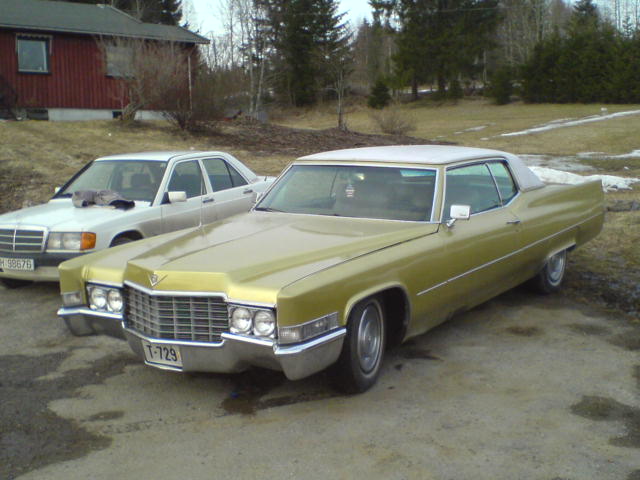 DSC00075.JPG